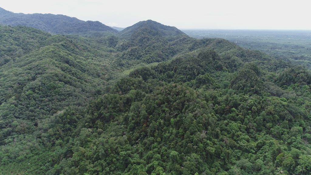 leuser national park