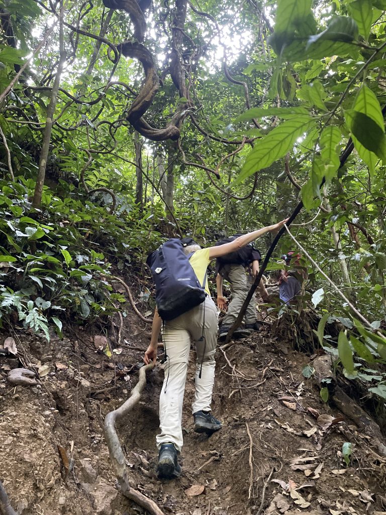 Jungle Trekking