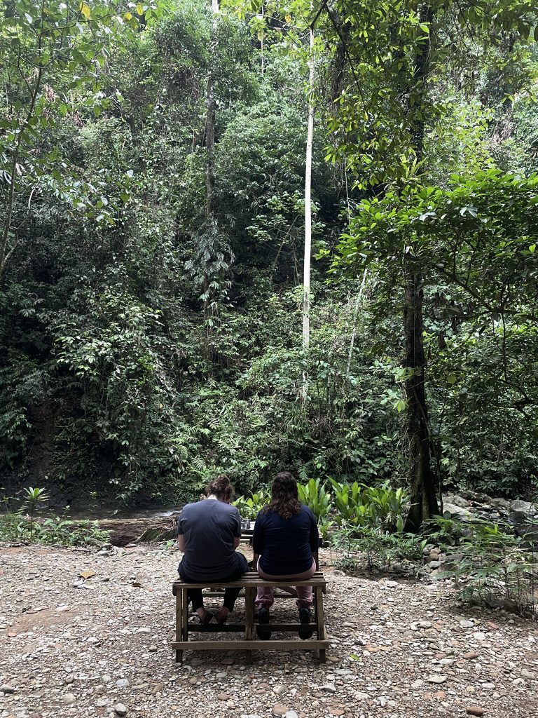 campingsite area