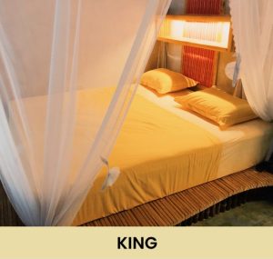 Butterfly Room - Kingbed