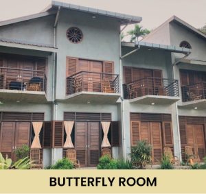 Butterfly Room
