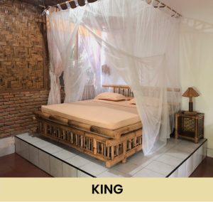 Orangutan room - Kingbed