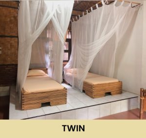Orangutan room - Twinbed