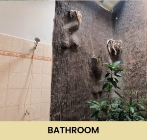 Orangutan room - Bathroom
