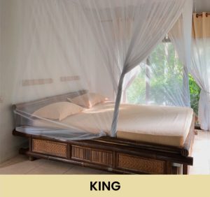 Siamang room - Kingbed