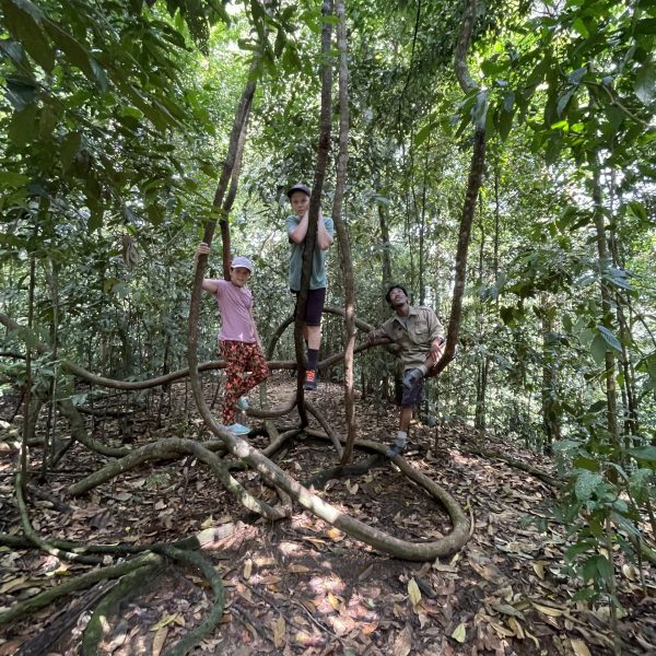leuser national park