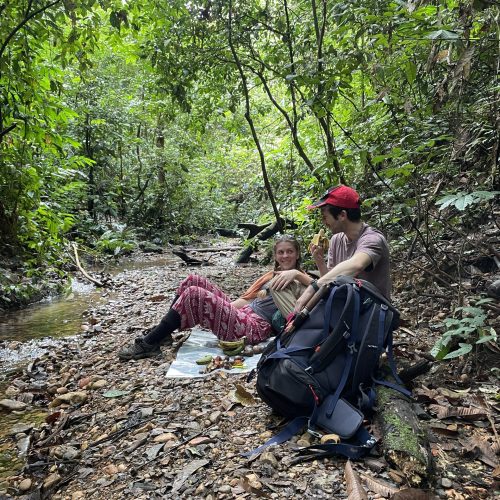 enjoy nature