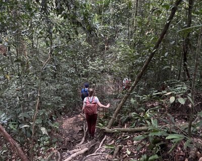 trekking orangutan 2026