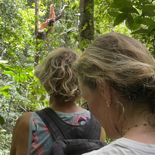 private orangutan tour