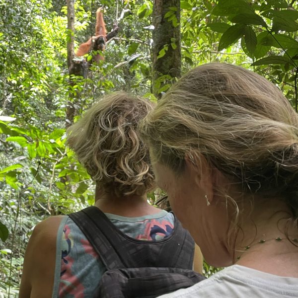 private orangutan tour