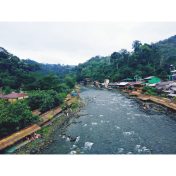 bukit lawang
