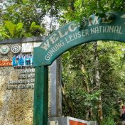 leuser national park in bukit lawang